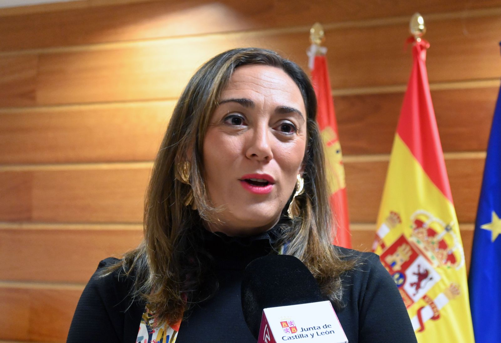 La consejera de Movilidad y Transformación Digital, María González Corral