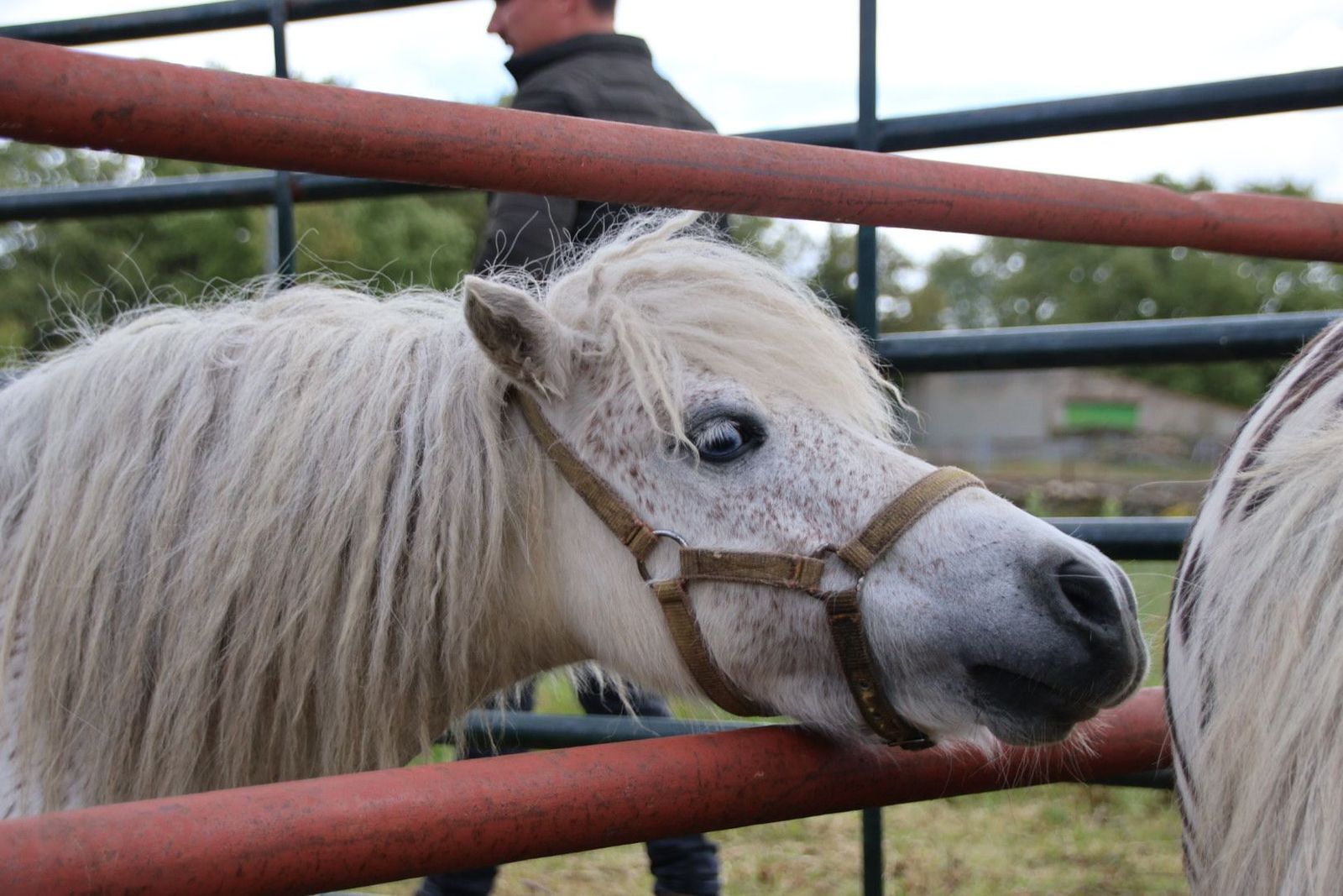 20240501102557-img-2883