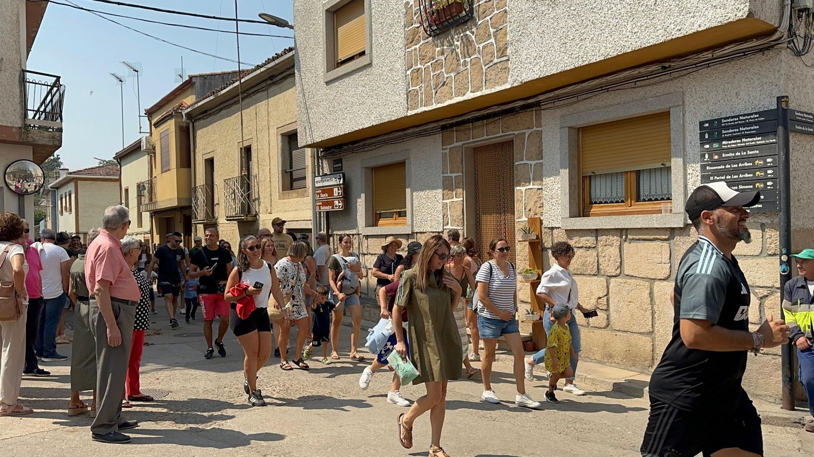 Mini bueyes en Aldeadávila