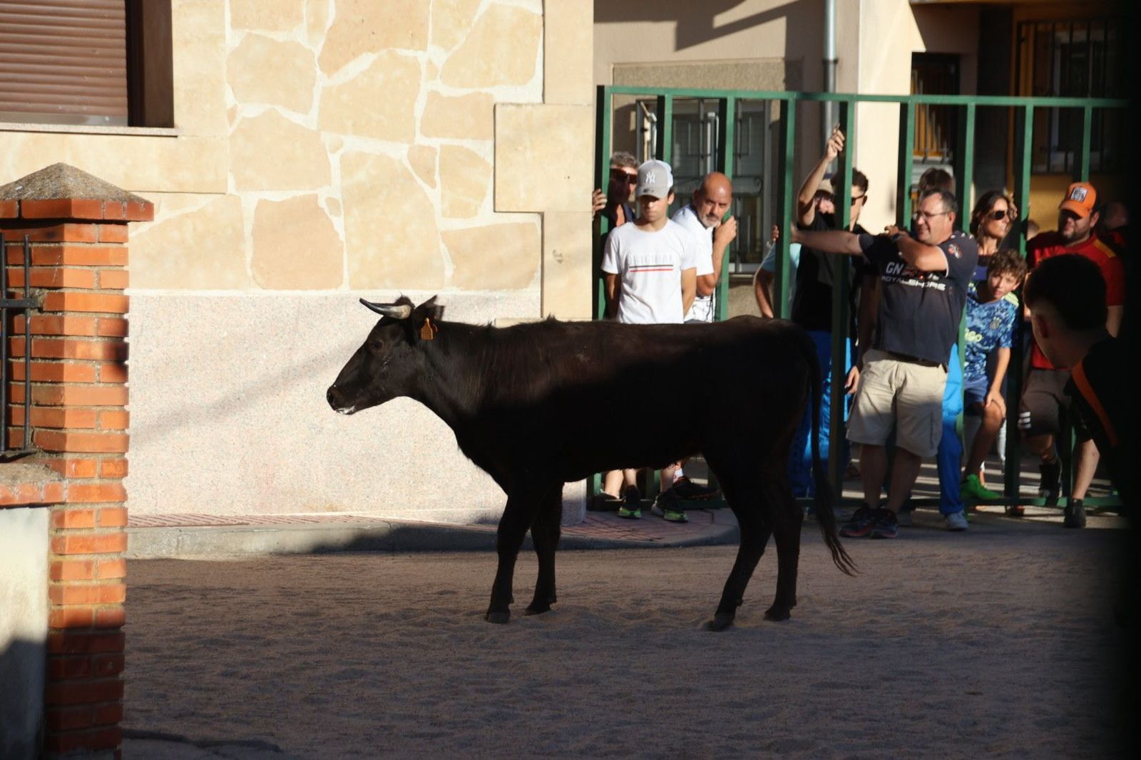 20240817185712-img-4508