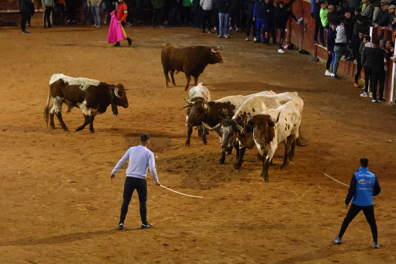Arriesgados quiebros y cortes para finalizar el Carnaval de Ciudad Rodrigo