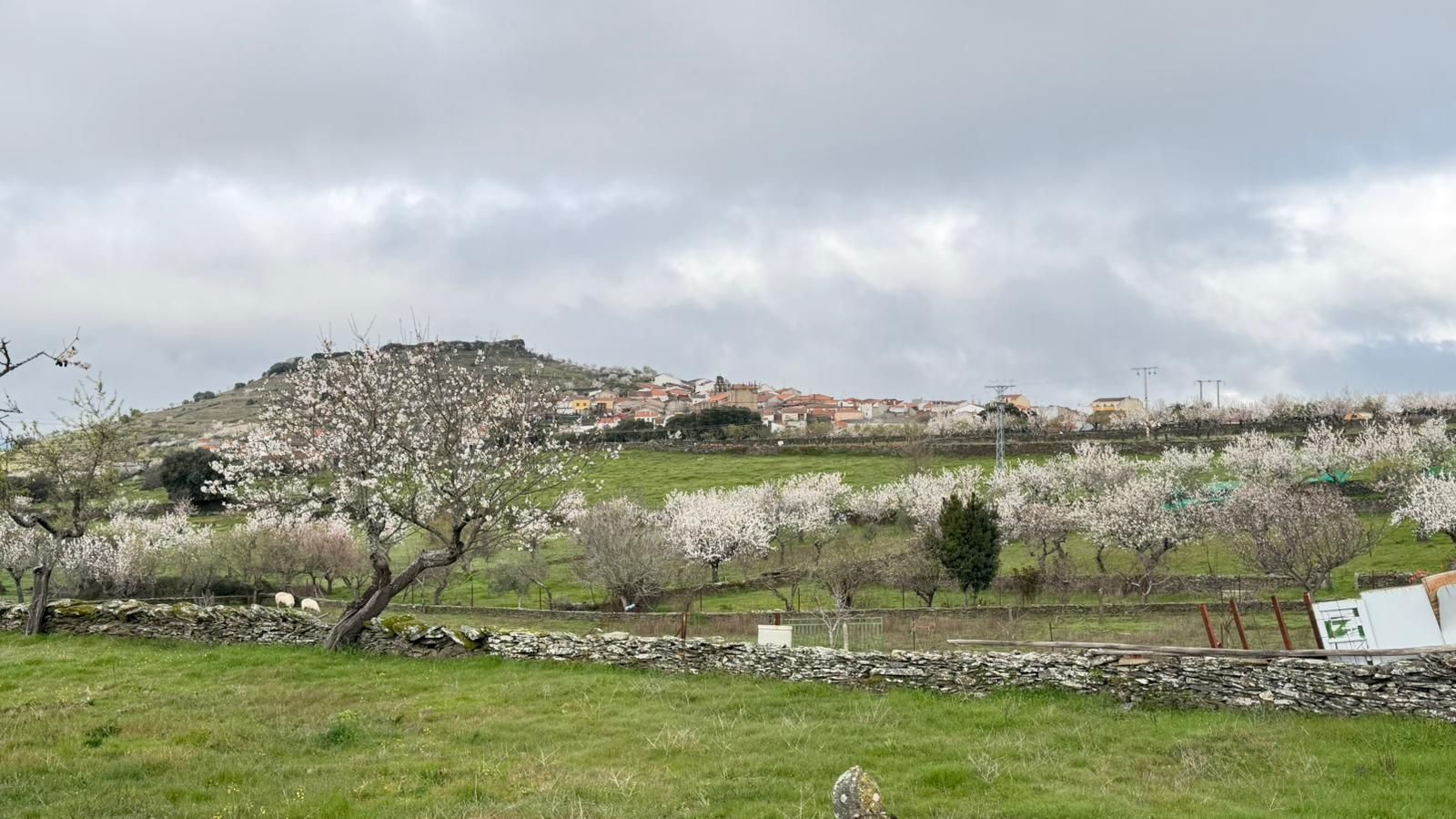Marcha senderista en Vilvestre