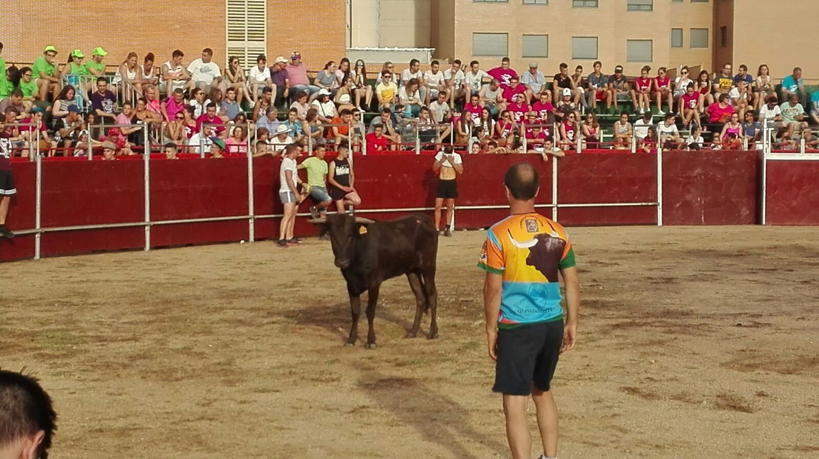 Plaza de toros portátil en Villares de la Reina Plaza de toros portátil en Villares de la Reina