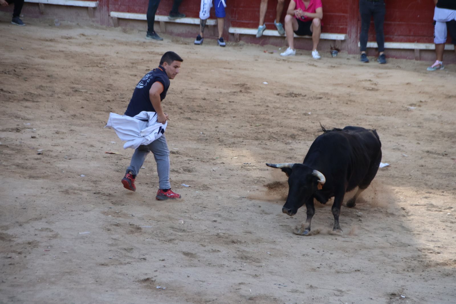 Encierro en Aldeadávila