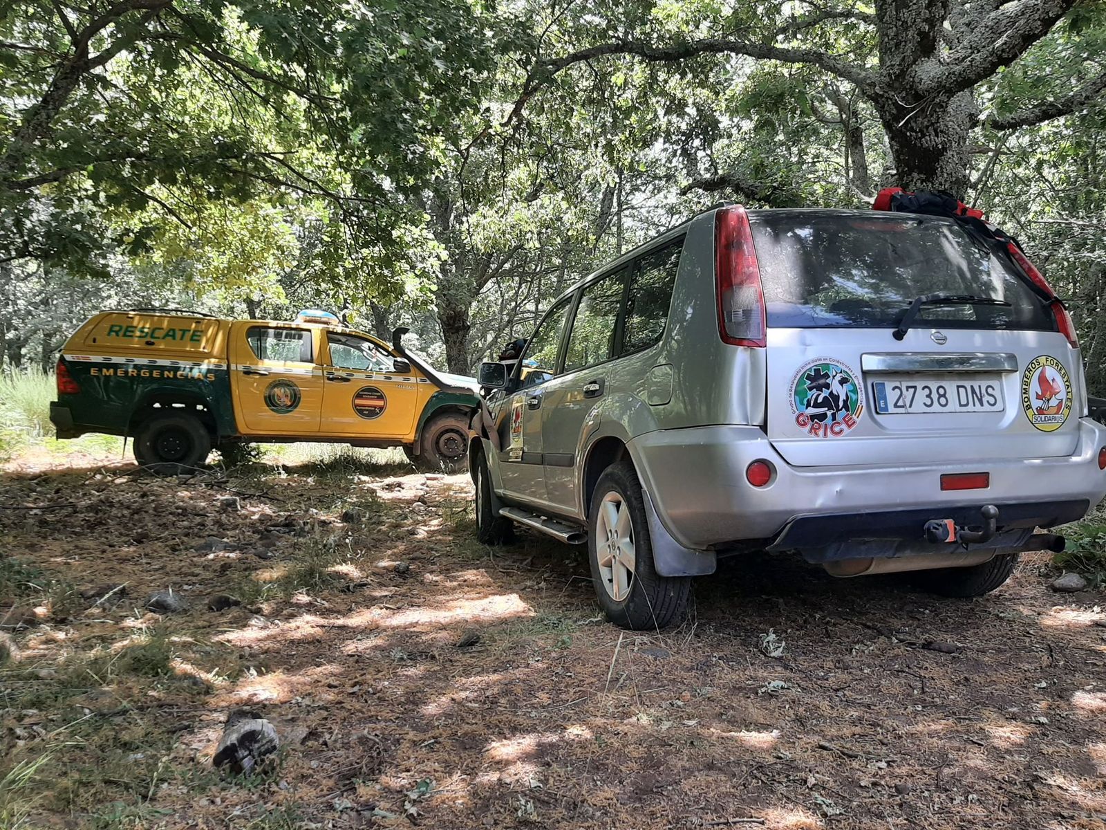 whatsapp-image-2025-06-22-at-18-54-28-3