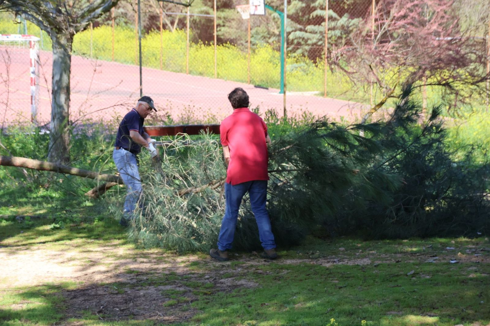 20240413103853-img-8041