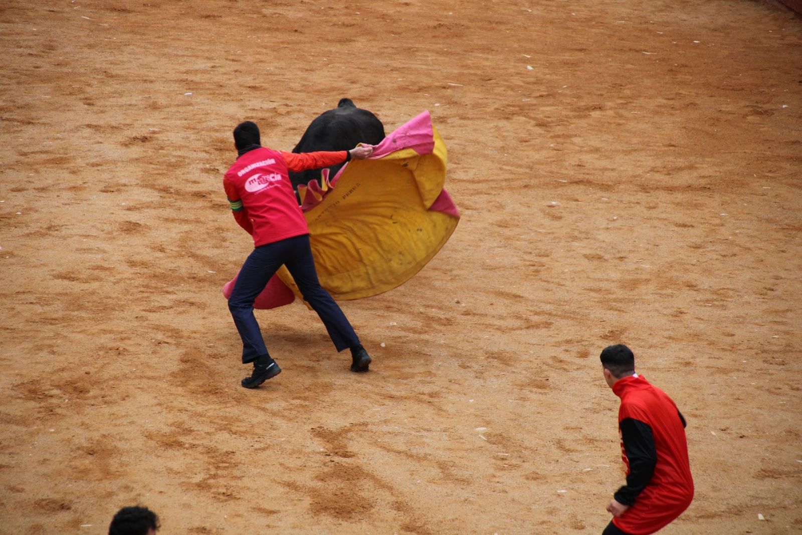 whatsapp-image-2025-03-01-at-13-18-48