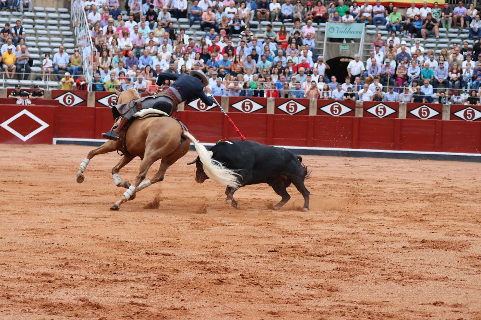 20230909173556-img-0485