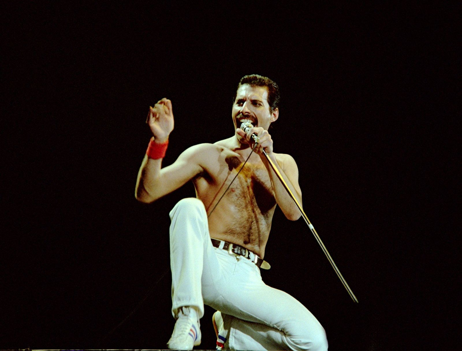 El legendario concierto de Queen en Montreal llega remasterizado al cine de Zamora