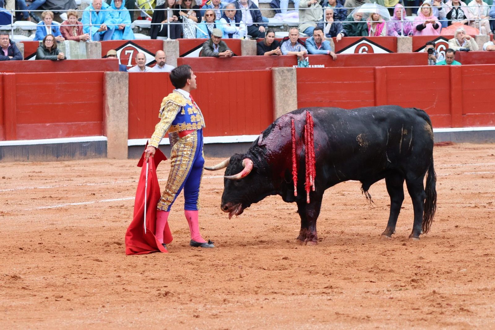 20230915174816-img-3996