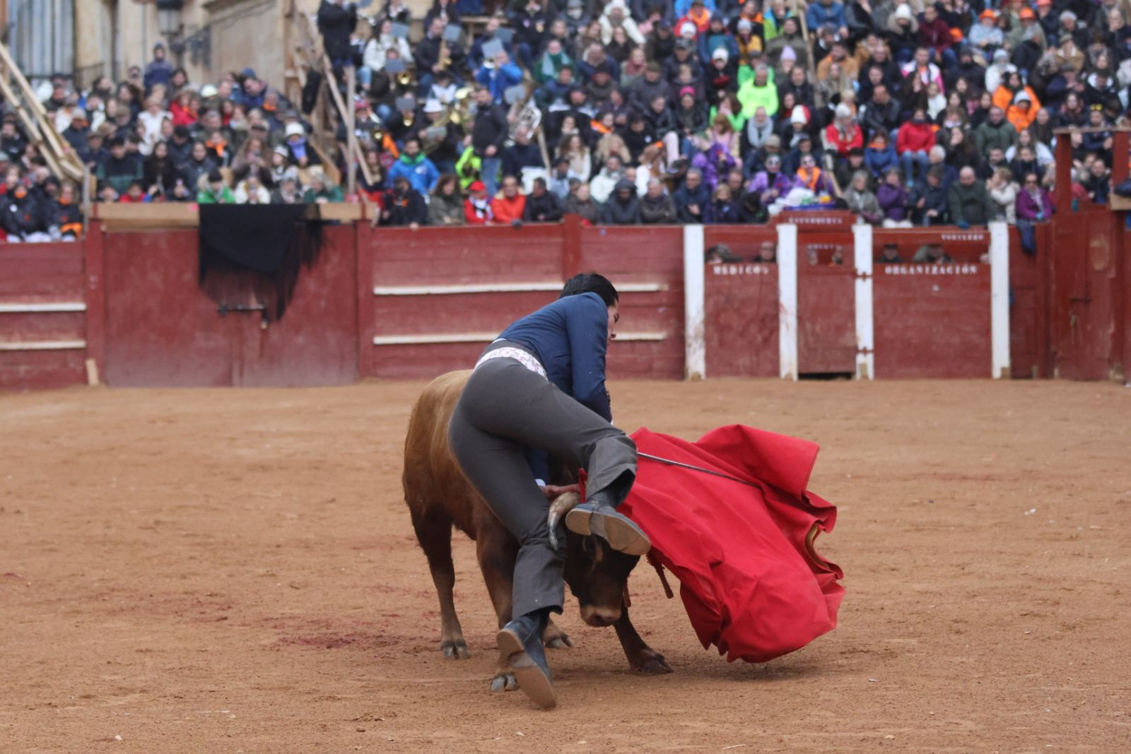 Novillada sin picadores del bolsín taurino y rejones en Ciudad Rodrigo