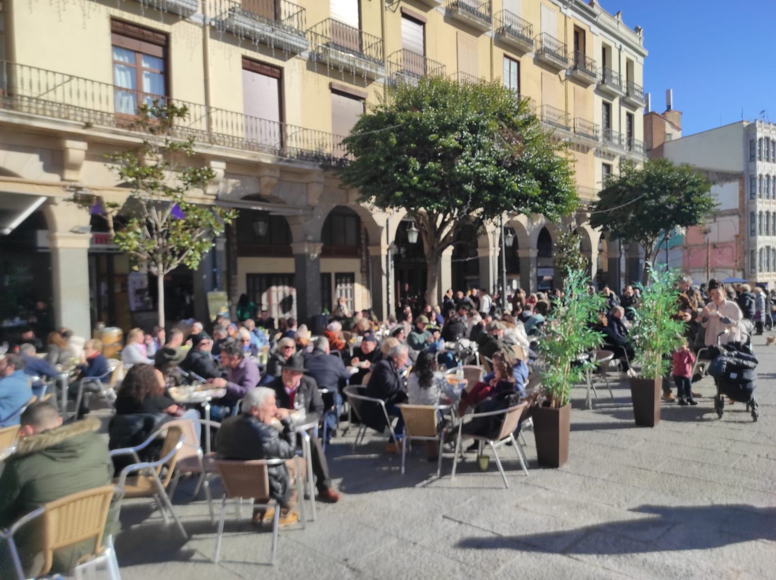 San Antonada en la Plaza Mayor de Zamora