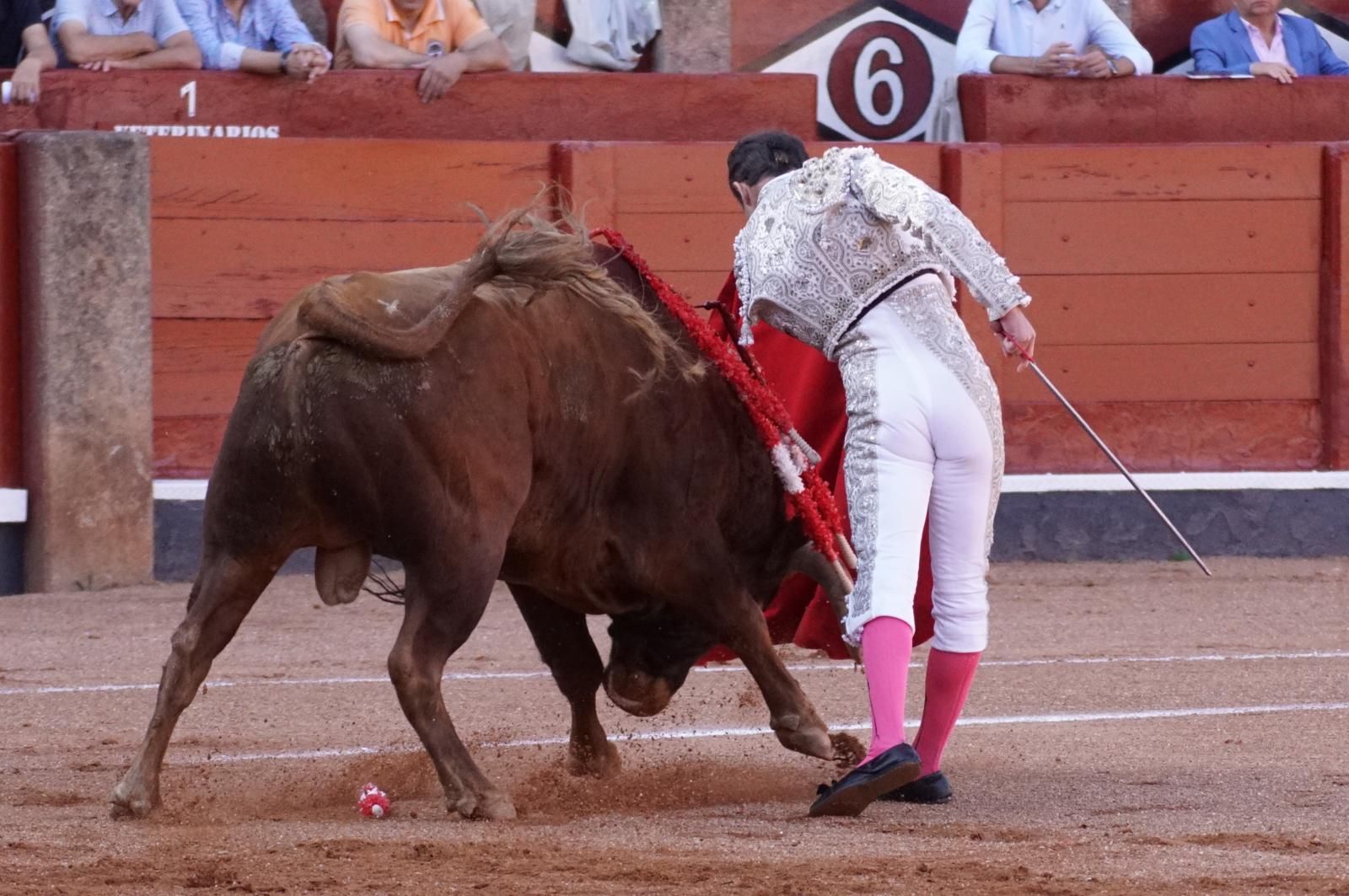 Presencia salmantina por partida doble en la primera corrida de la feria: Damián Castaño e Ismael Martín junto al mexicano Diego San Román