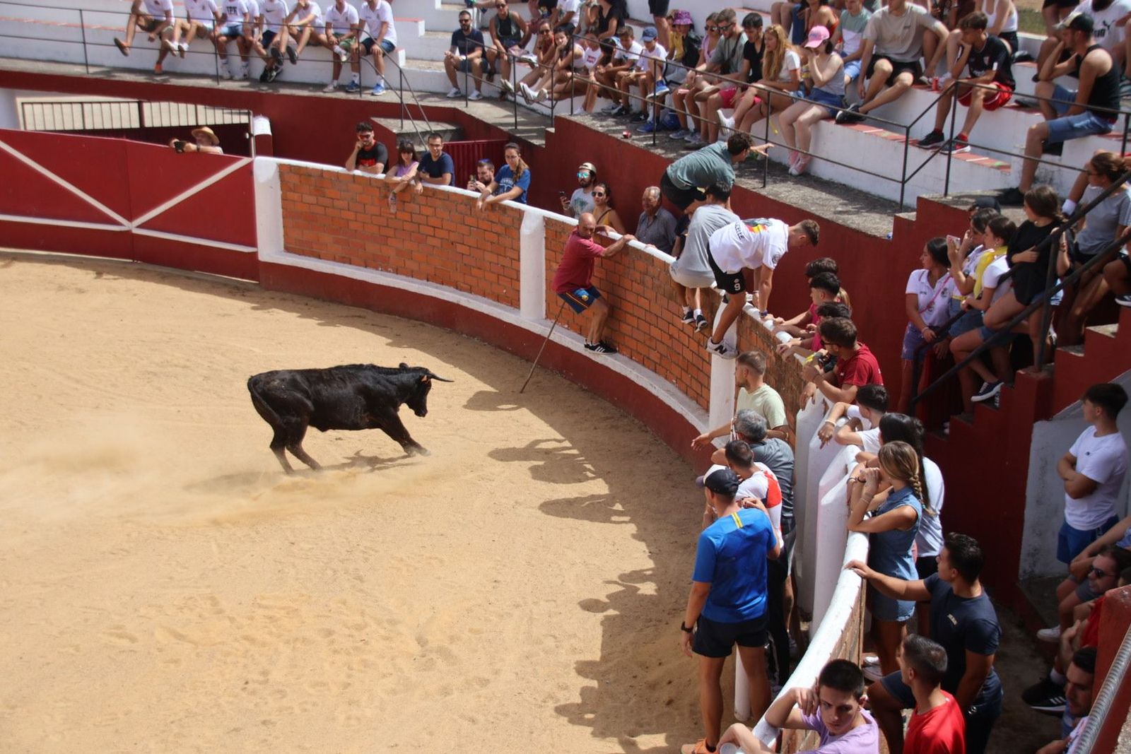 20230809120115-img-9614