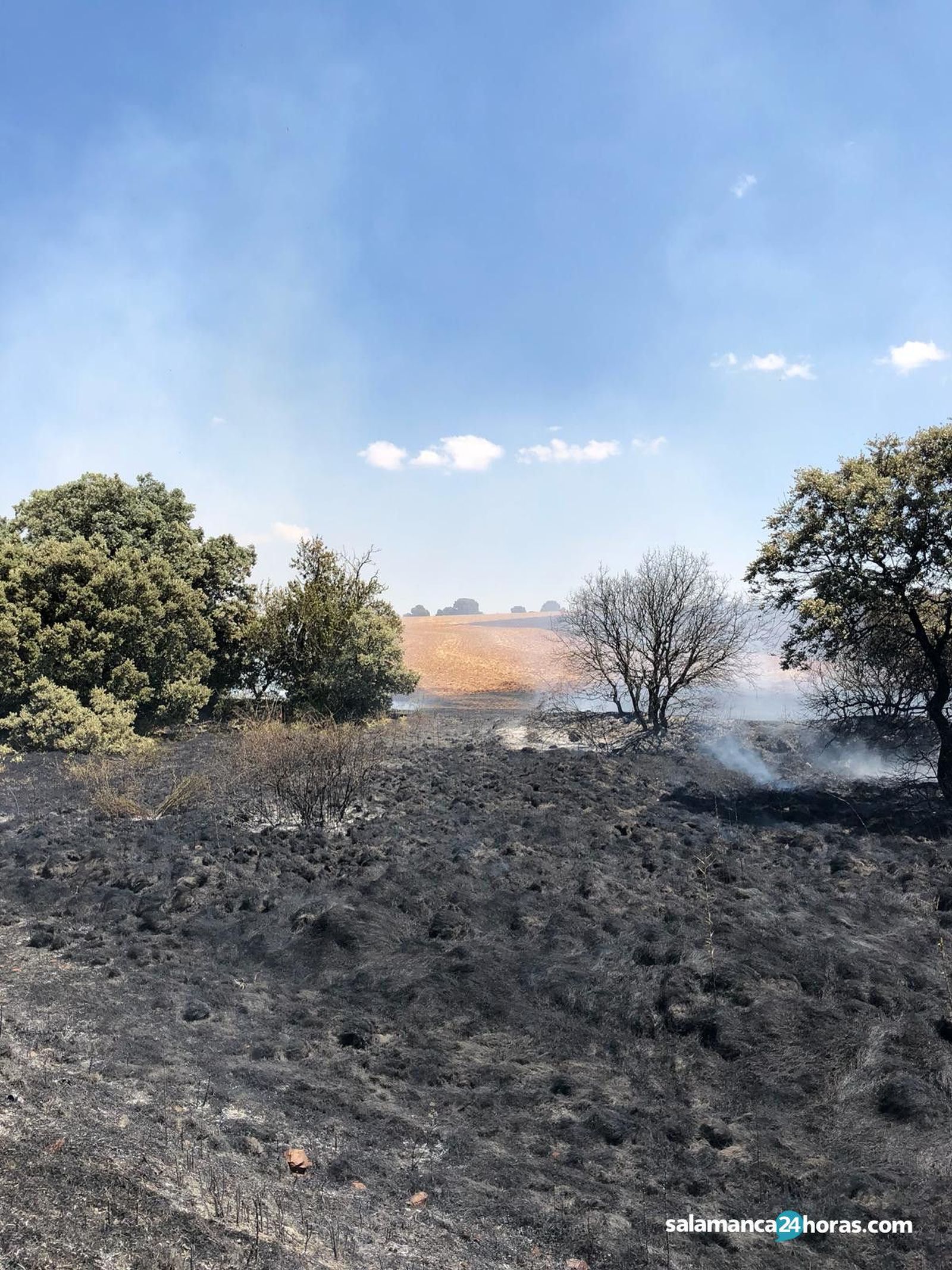 Incendio Los Montalvos 3