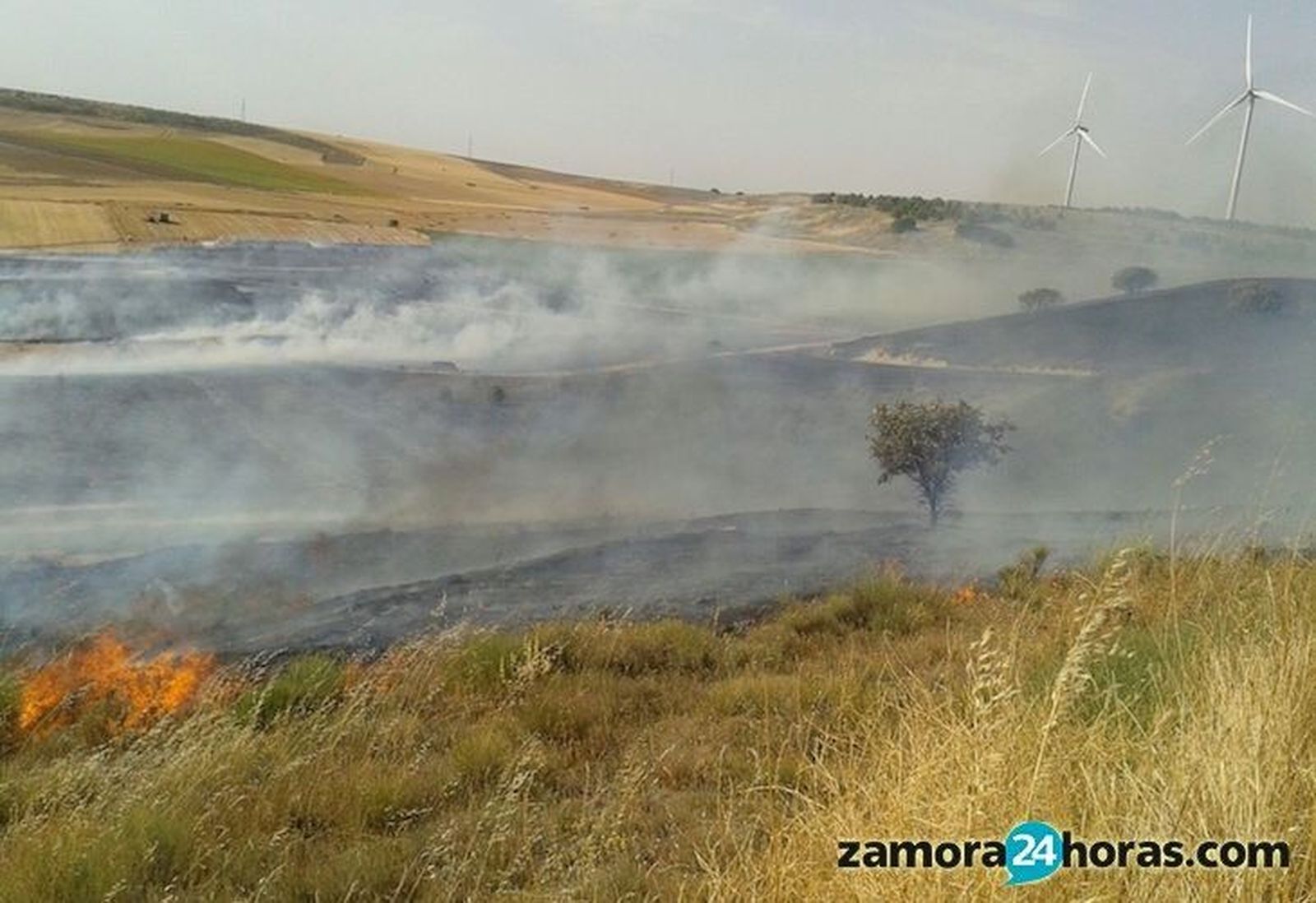 Un incendio calcina 9,5 hectáreas de cereal en Monfarracinos