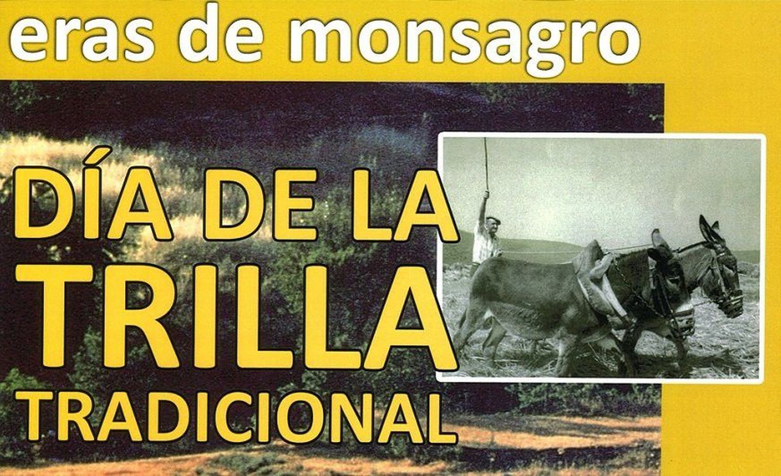 Monsagro celebra el Día de la Trilla Tradicional