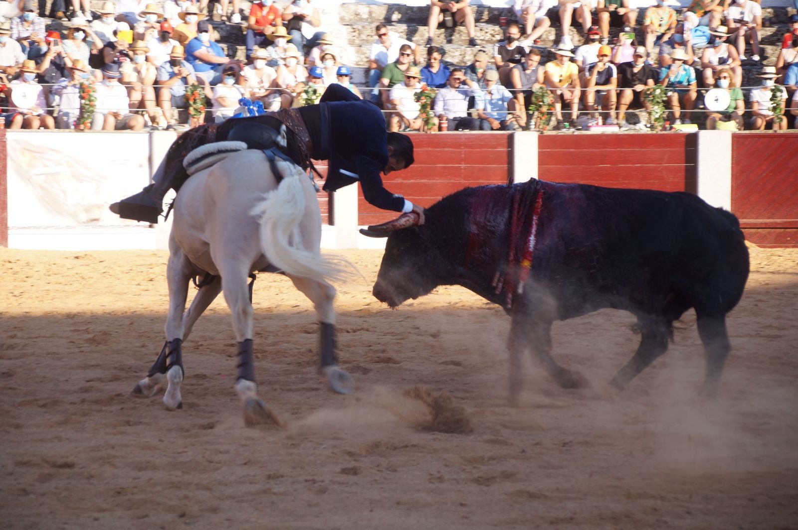 whatsapp-image-2021-08-16-at-21-02-59-1