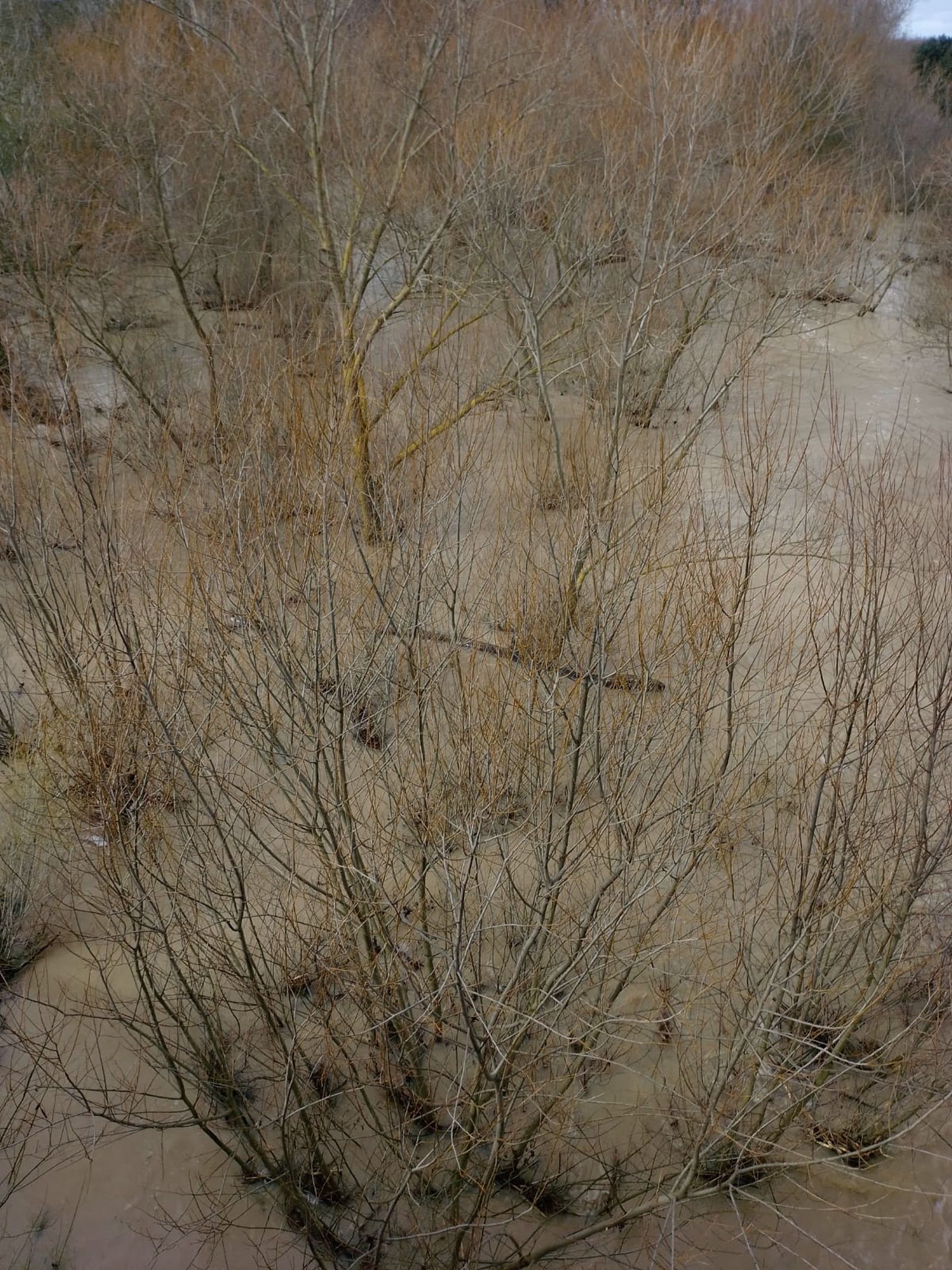 Garcihérnandez, el río Gamo se desborda (3).jpeg
