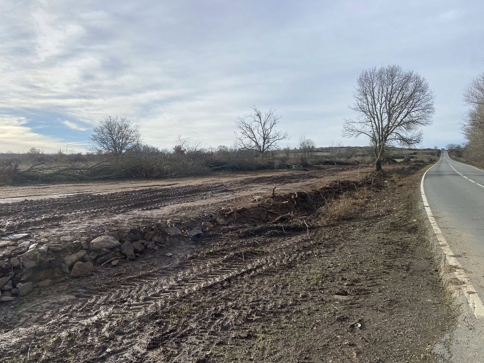 Imagen del municipio de Rabanales