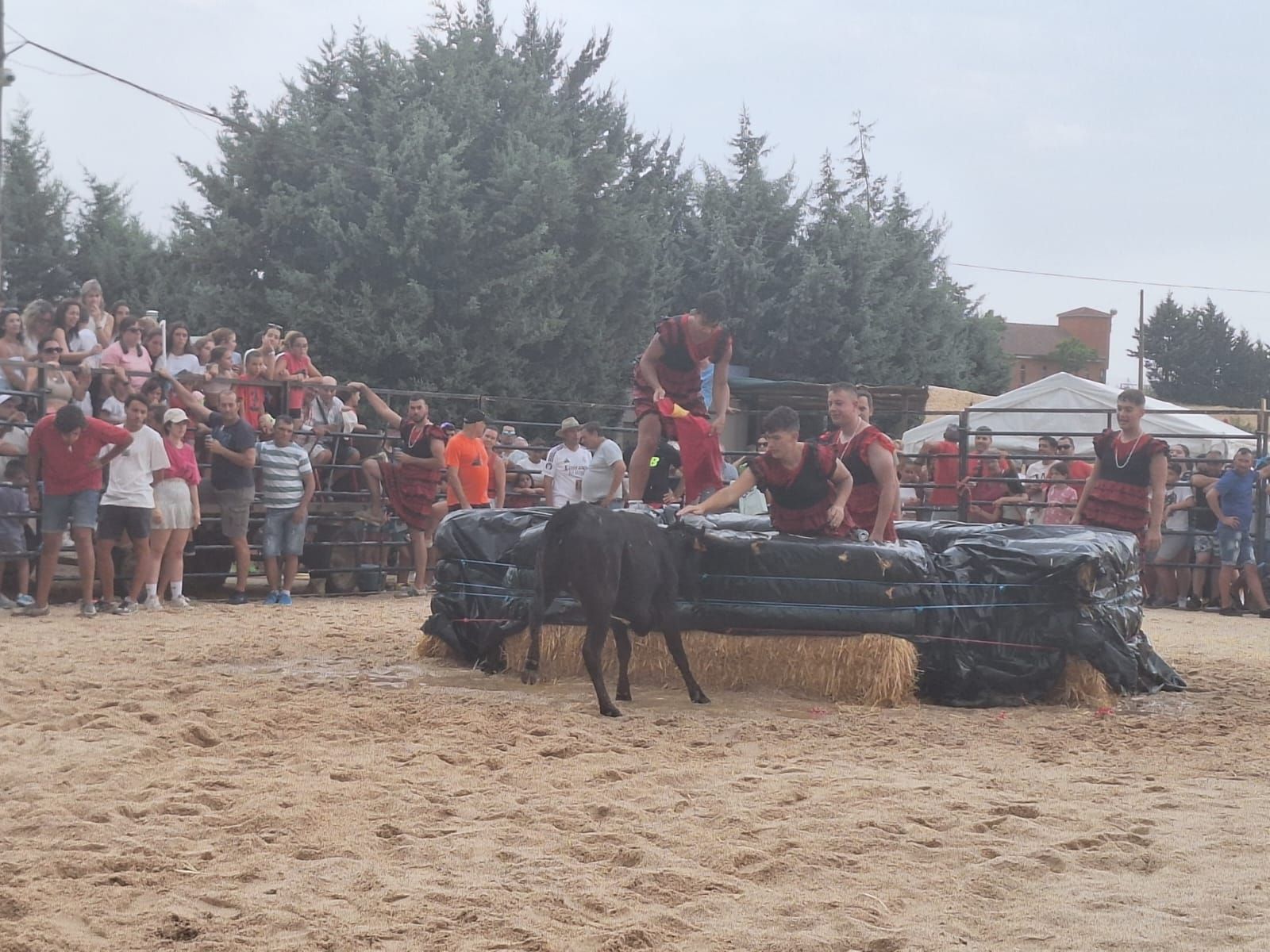 Cientos de personas disfrutan de las vaquillas de Valdelosa