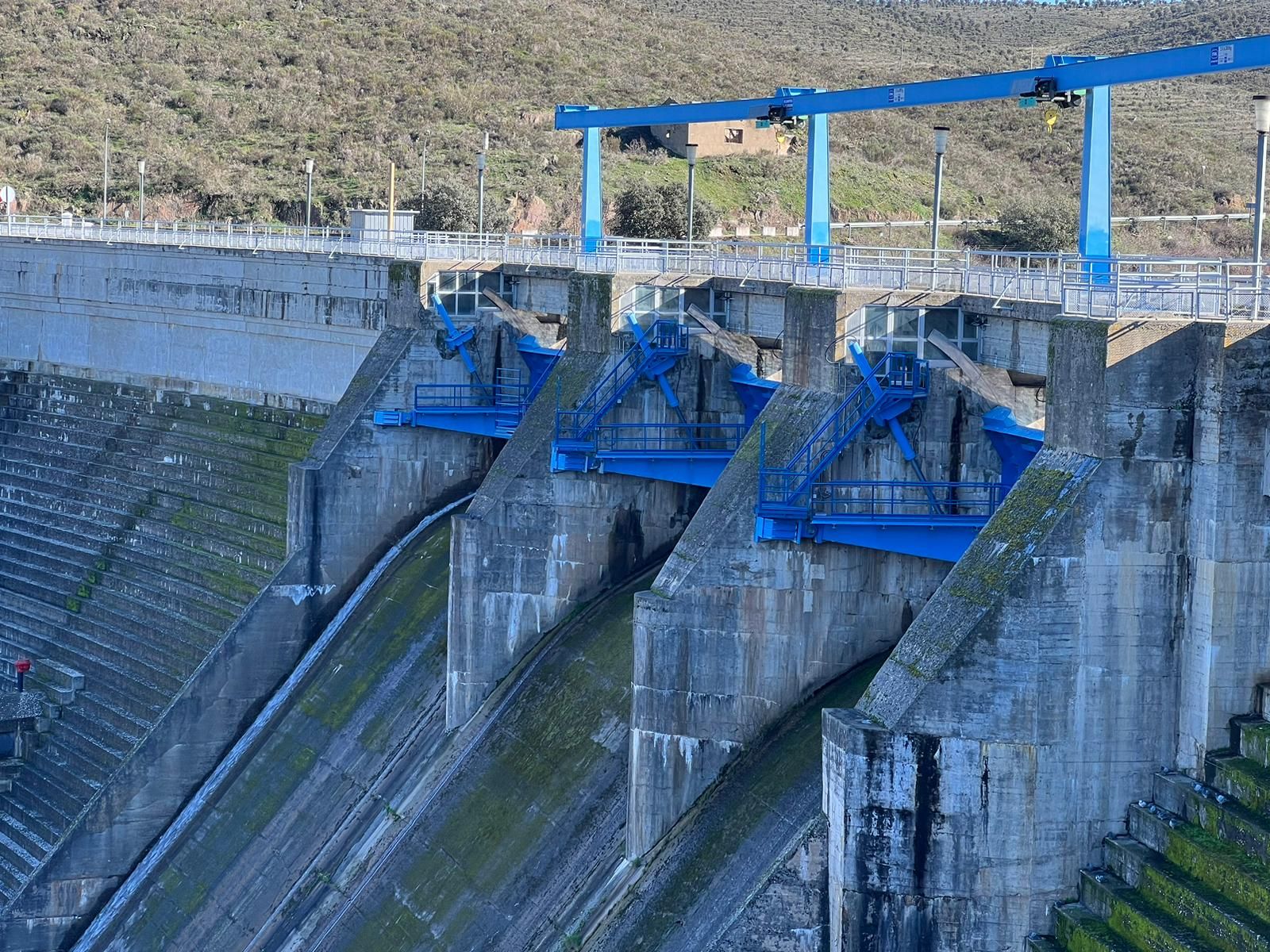 whatsapp-image-2024-01-20-at-13-54-58-2