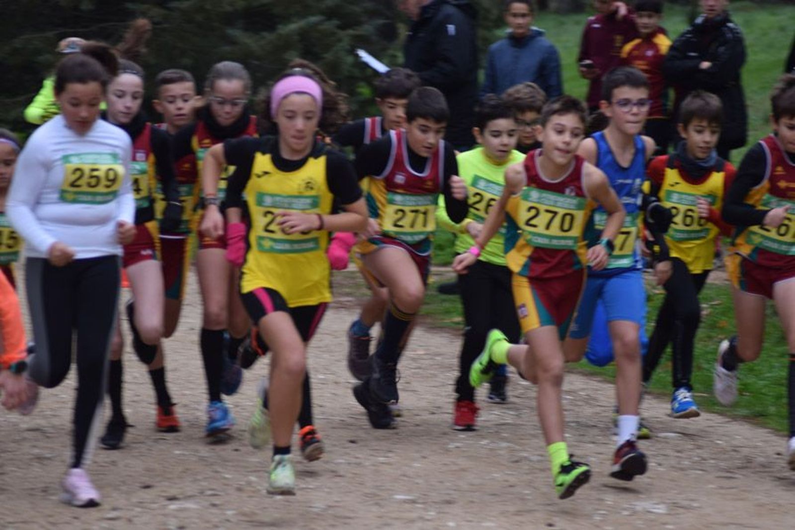 cross-de-otono-en-el-bosque-de-valorio-34