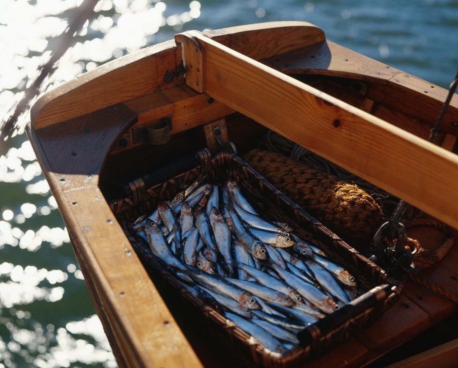 Boquerones