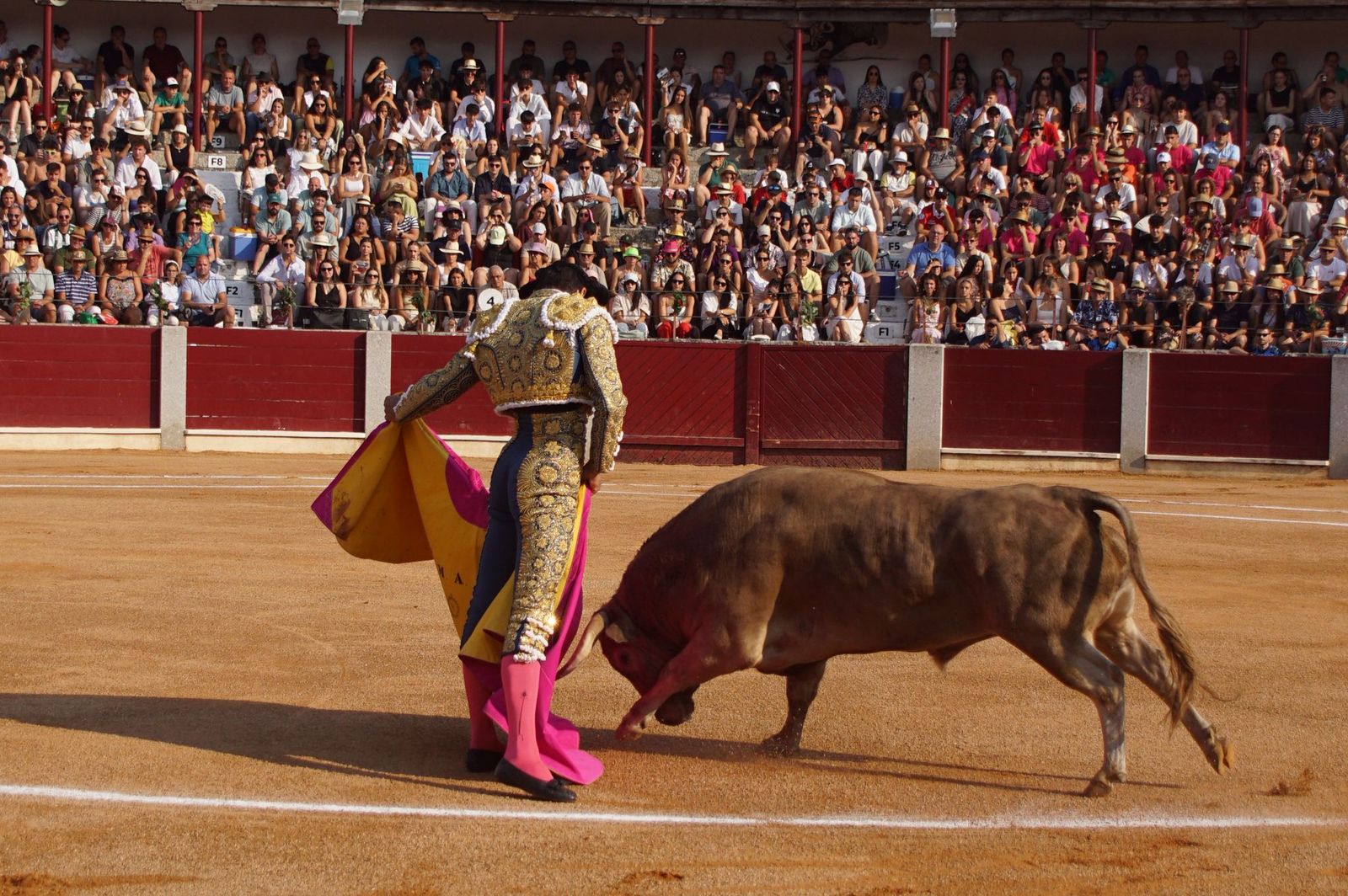 : Emilio de Justo y Diosleguarde cierran en hombros una feria de Guijuelo marcada por las despedidas de El Capea y Javier Castaño