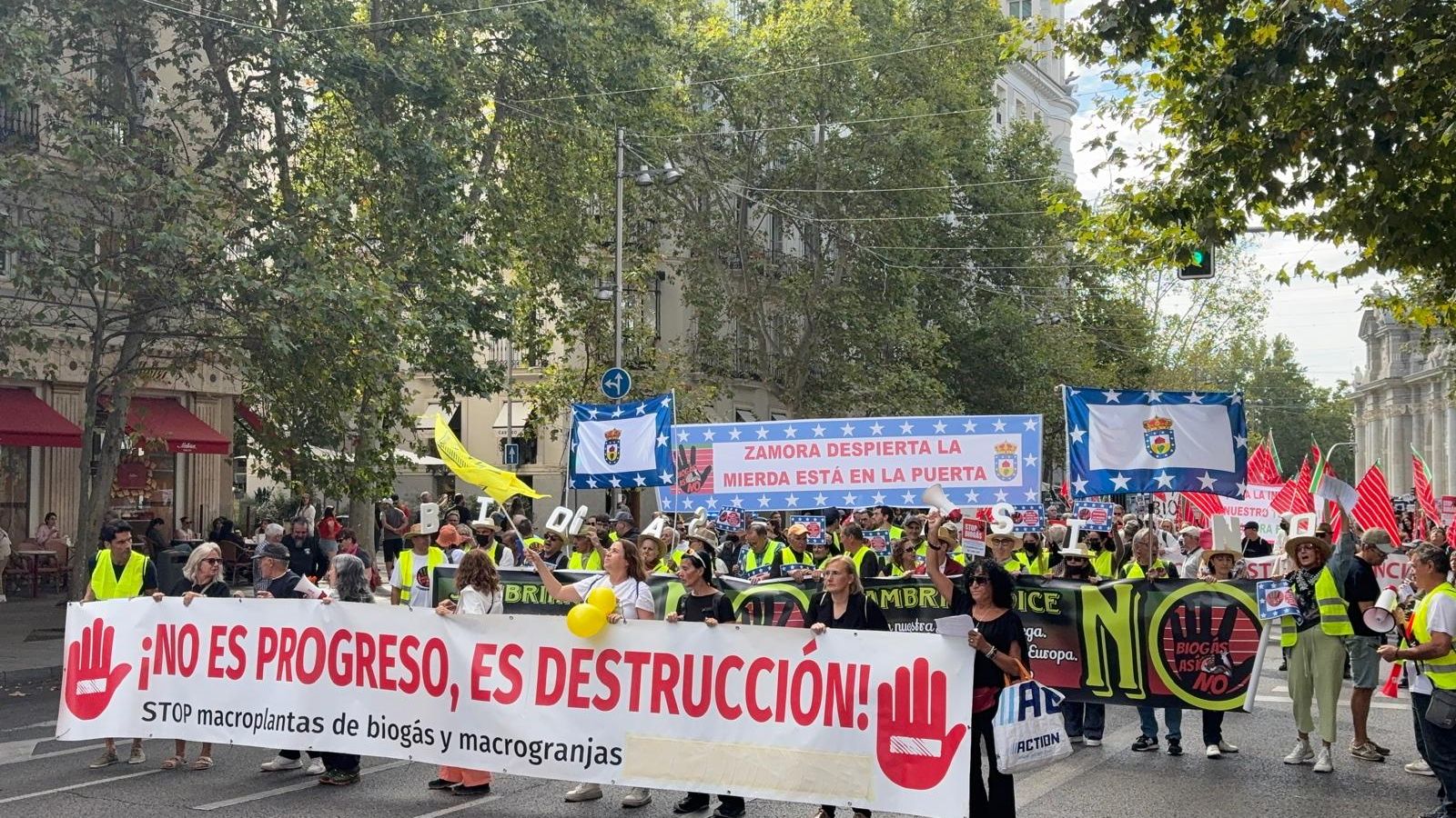 Vecinos de Machacón, Tornadizos y Babilafuente se concentran en Madrid para exigir la paralización de los proyectos de macro-plantas de biogás y biometano