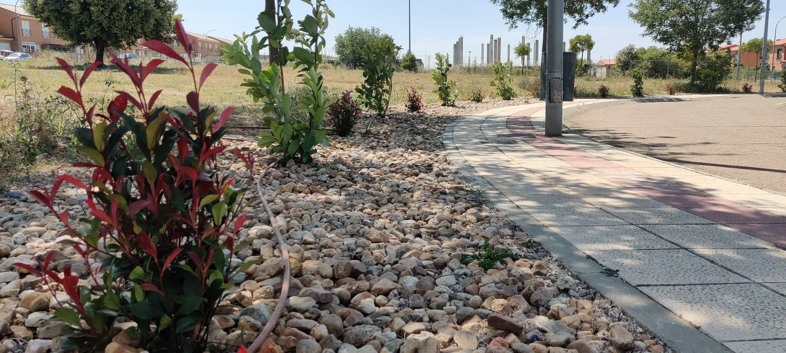 Ajardinamiento en Carrascal de Barregas