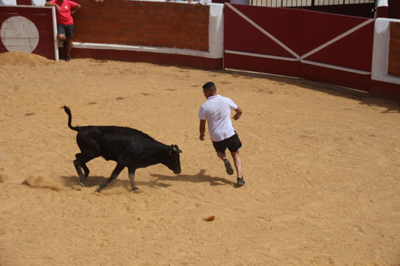 20230809121220-img-9640