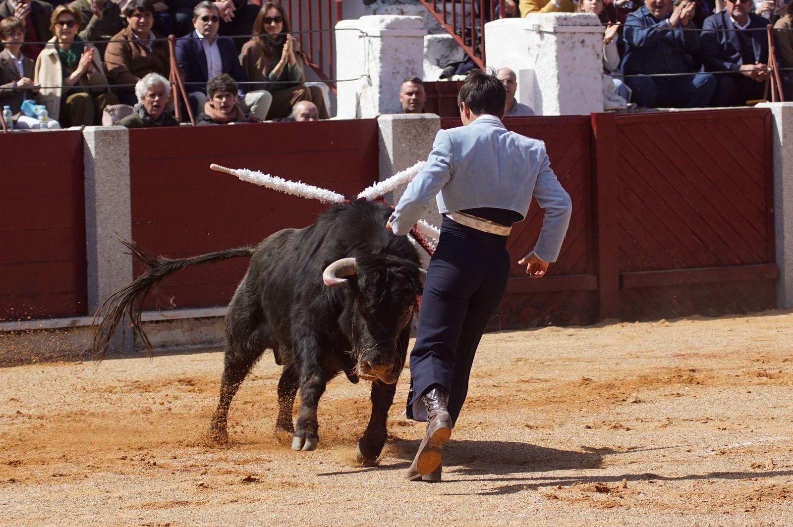 Festival taurino solidario por la esclerosis múltiple en Guijuelo