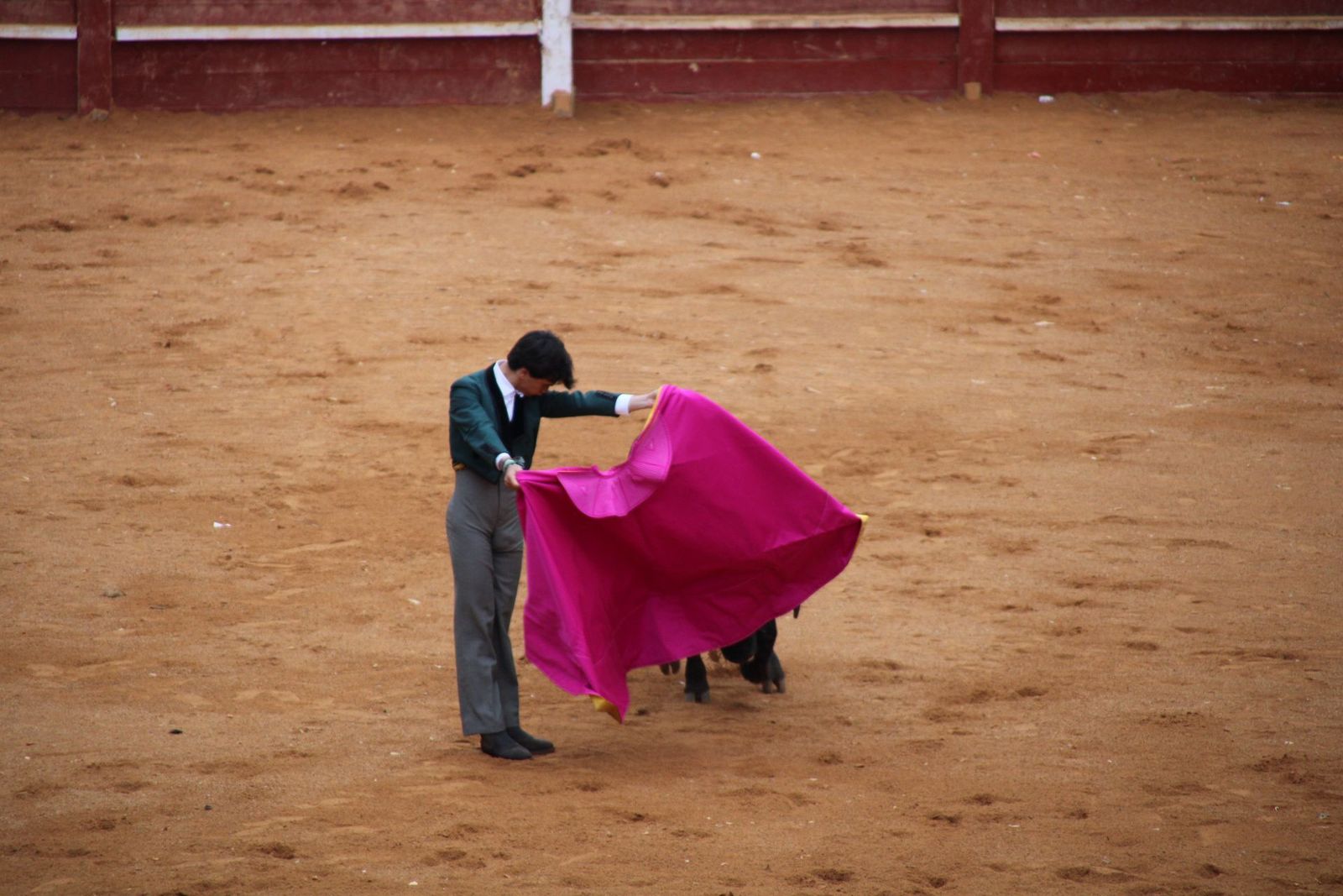 whatsapp-image-2025-03-02-at-18-54-07