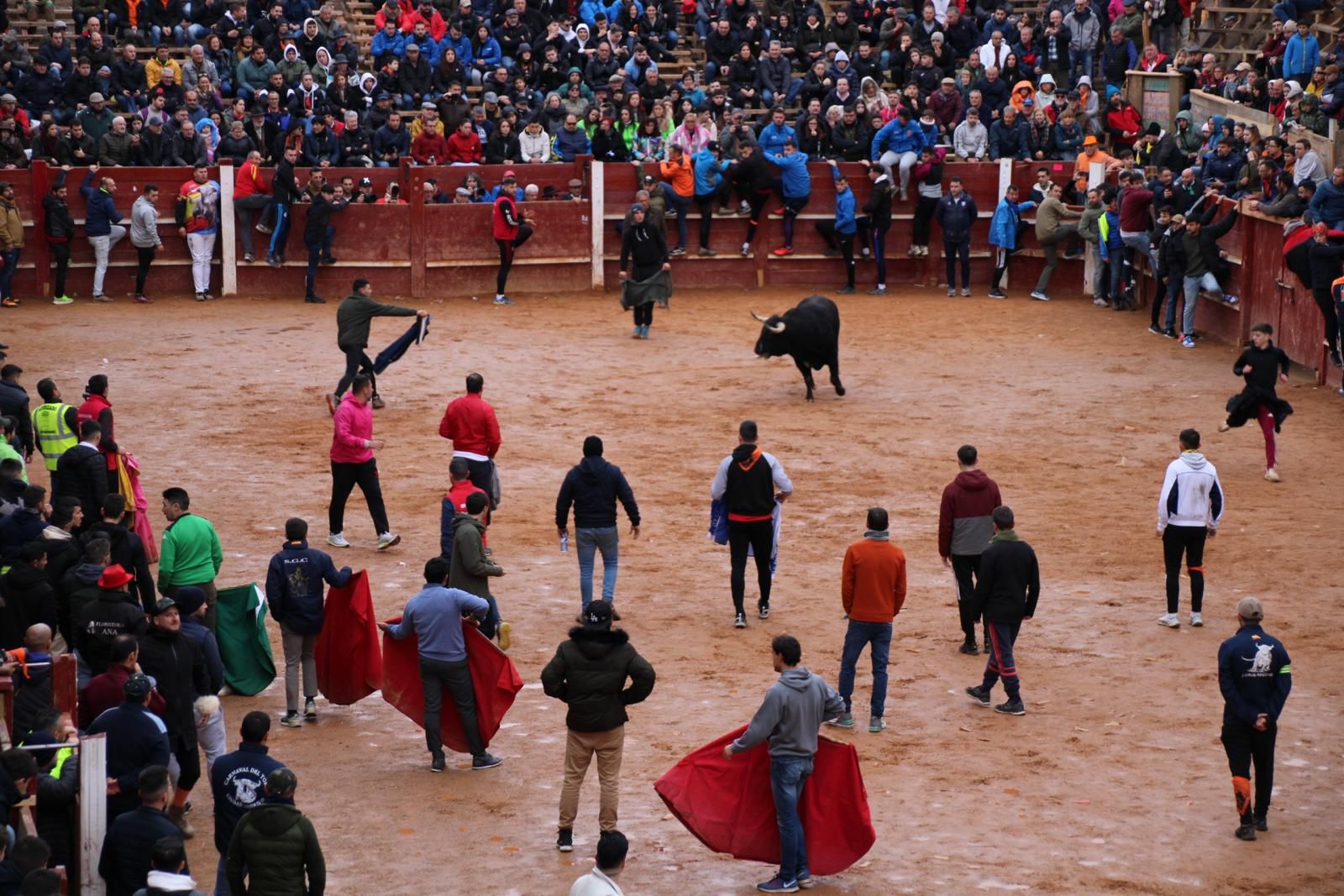 toro-del-aguardiente-en-ciudad-rodrigo-carnaval-24-22