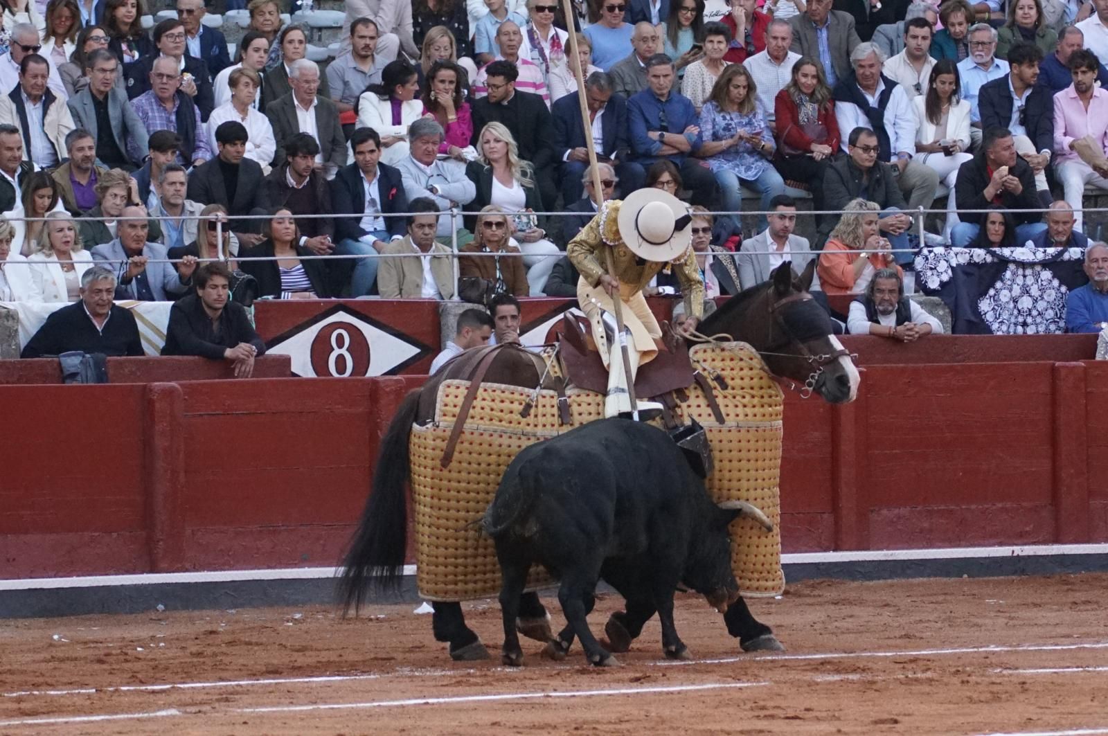 corrida-concurso-momentos-mas-destacados-del-ultimo-festejo-de-abono-de-la-feria-taurina-virgen-de-la-vega-2024-fotos-carlos-h-g-y-juanes-27