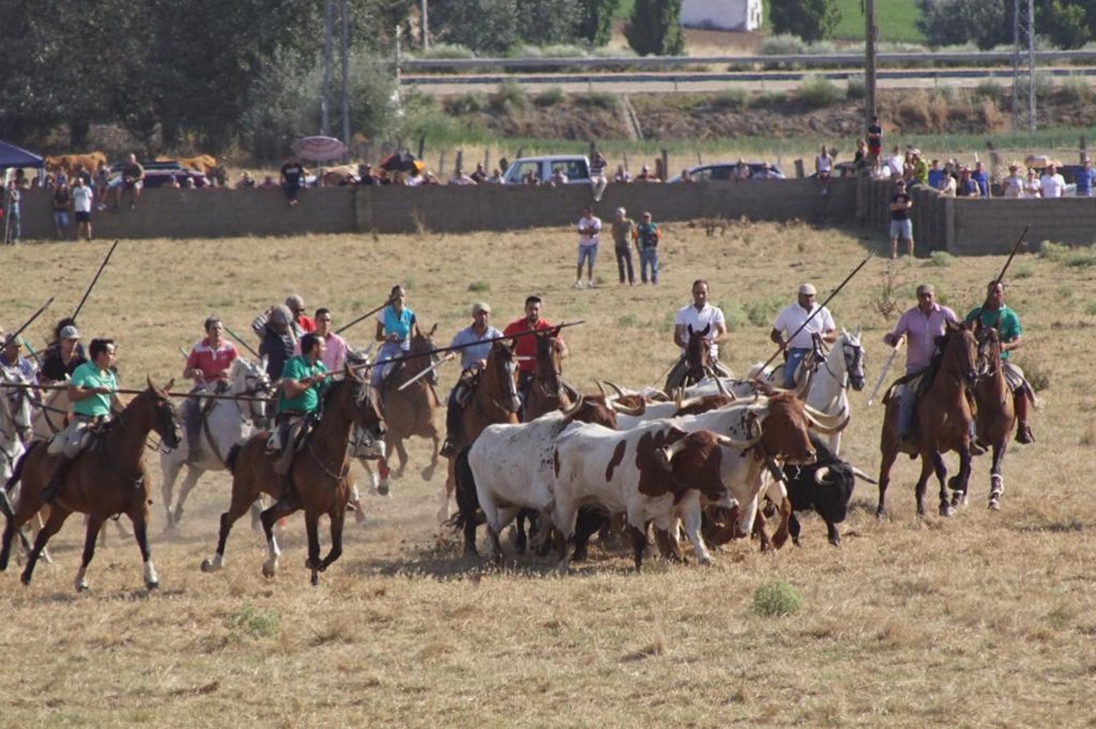 espantes-de-fuentesauco-26