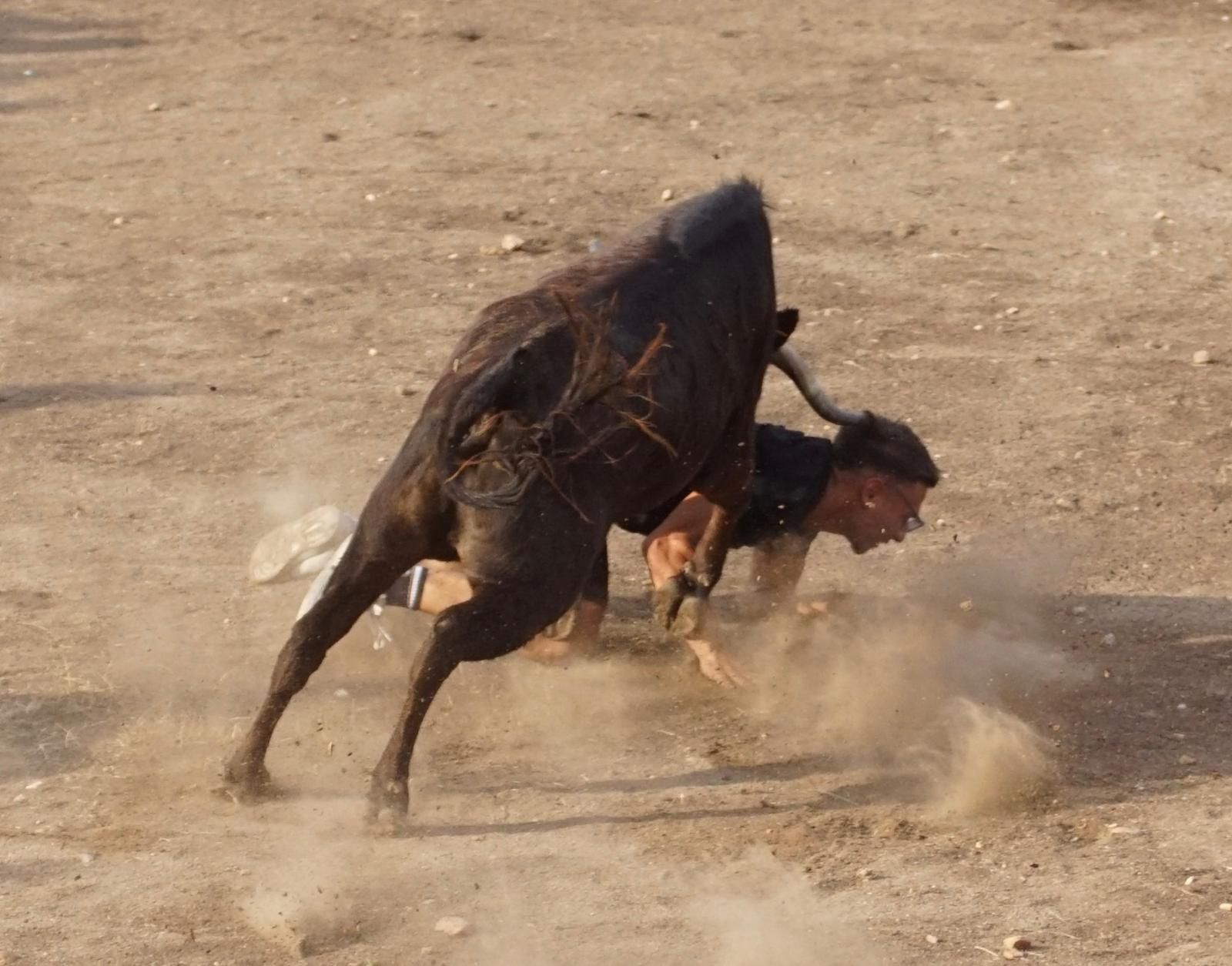 WhatsApp Image 2025-08-01 at 21.53.47 (1).jpeg