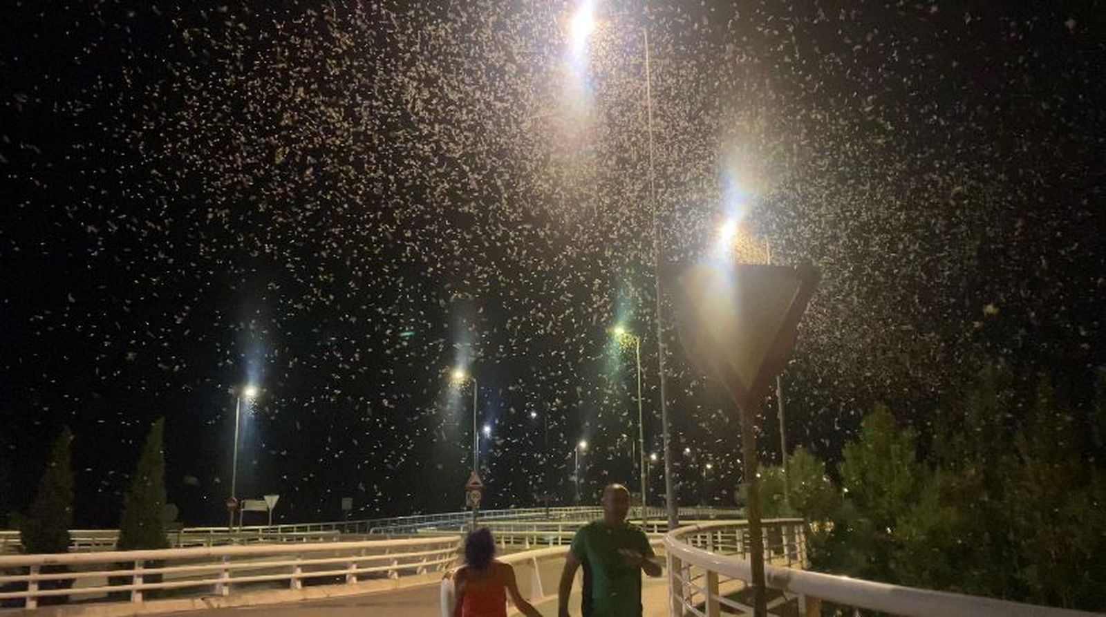 VÍDEO | No, no es niebla en julio. Las impresionantes imágenes de las efímeras volando sobre el Duero en Zamora