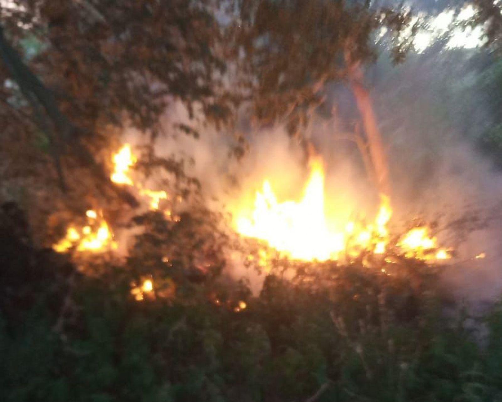 Bomberos voluntarios de Alba sofocan un fuego en la ribera del Tormes
