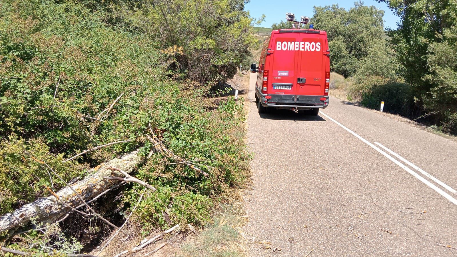Árbol caído en la carretera