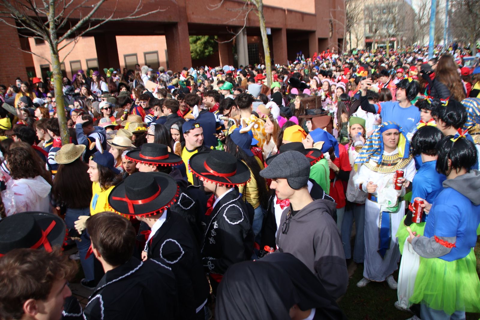 Fiestas Derecho CODEX