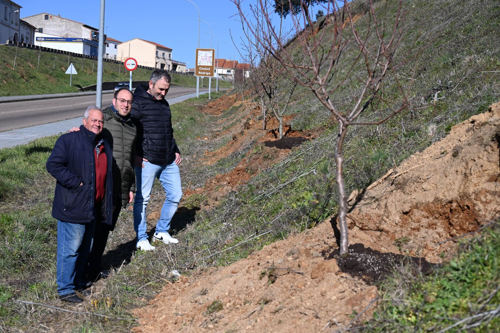 Ciudad Rodrigo Plantación Árboles Ciudad Rodrigo Plantación Árboles