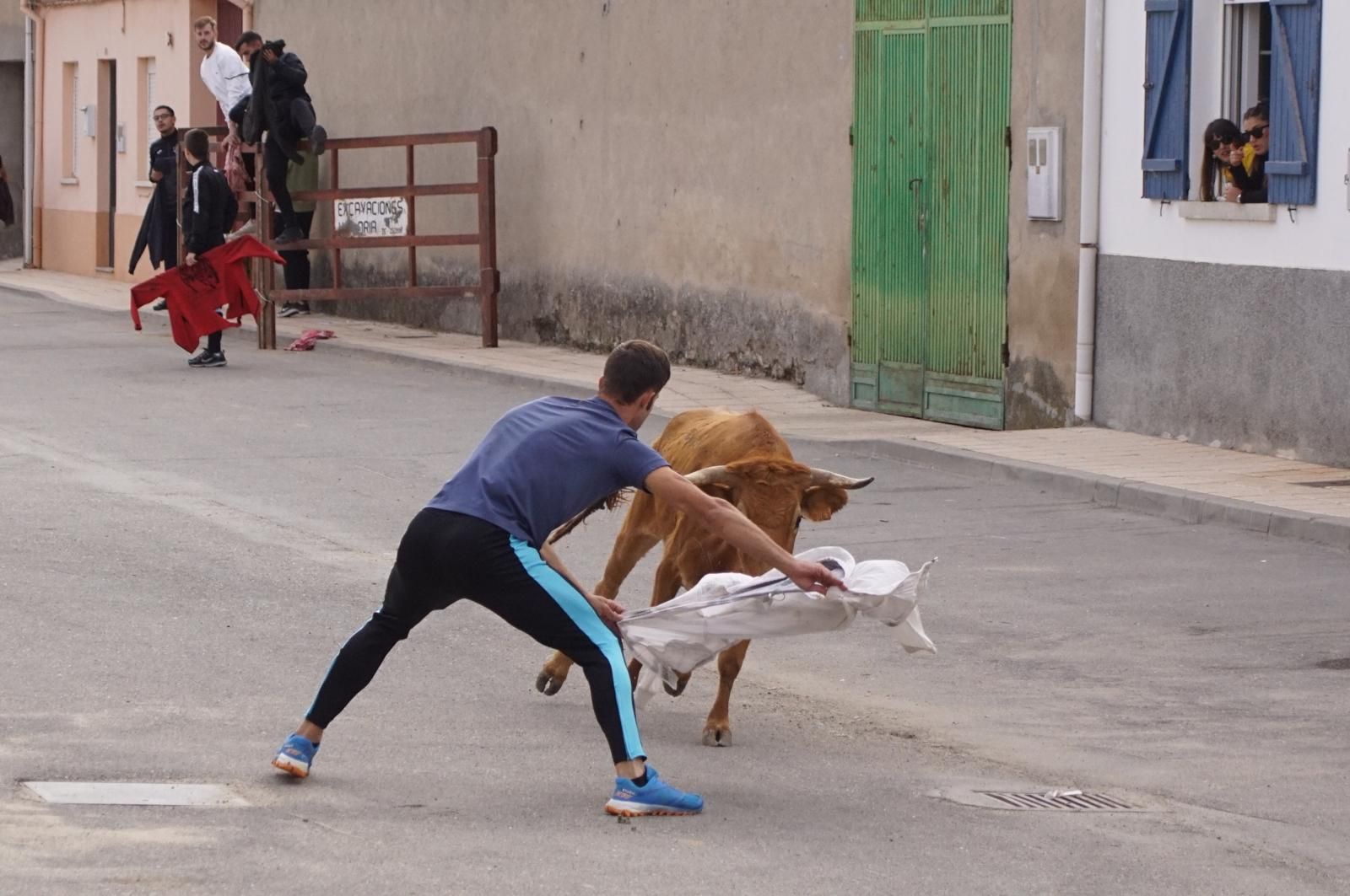 whatsapp-image-2024-09-08-at-14-04-57-5