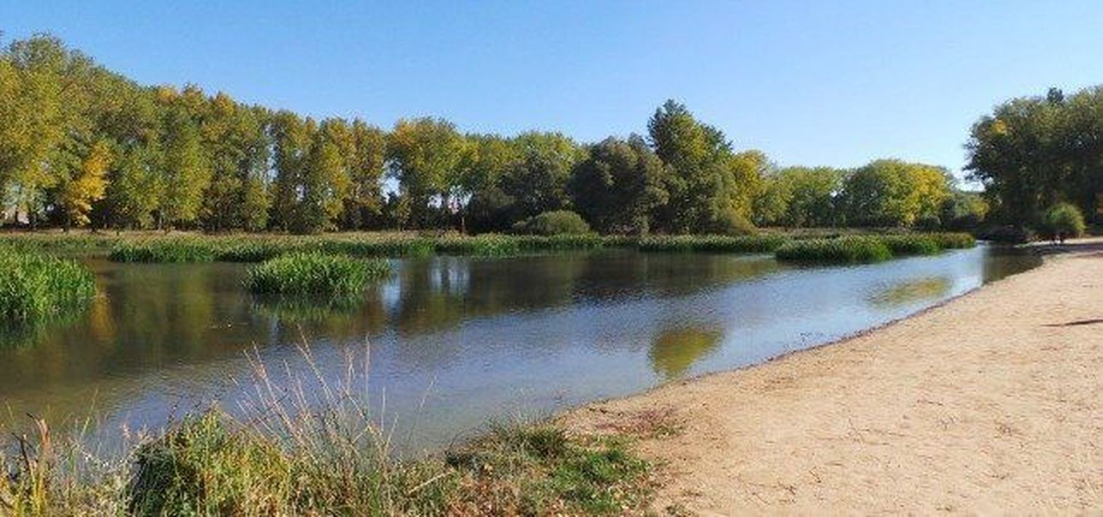 PCAS lamenta la gestión forestal del Ayuntamiento