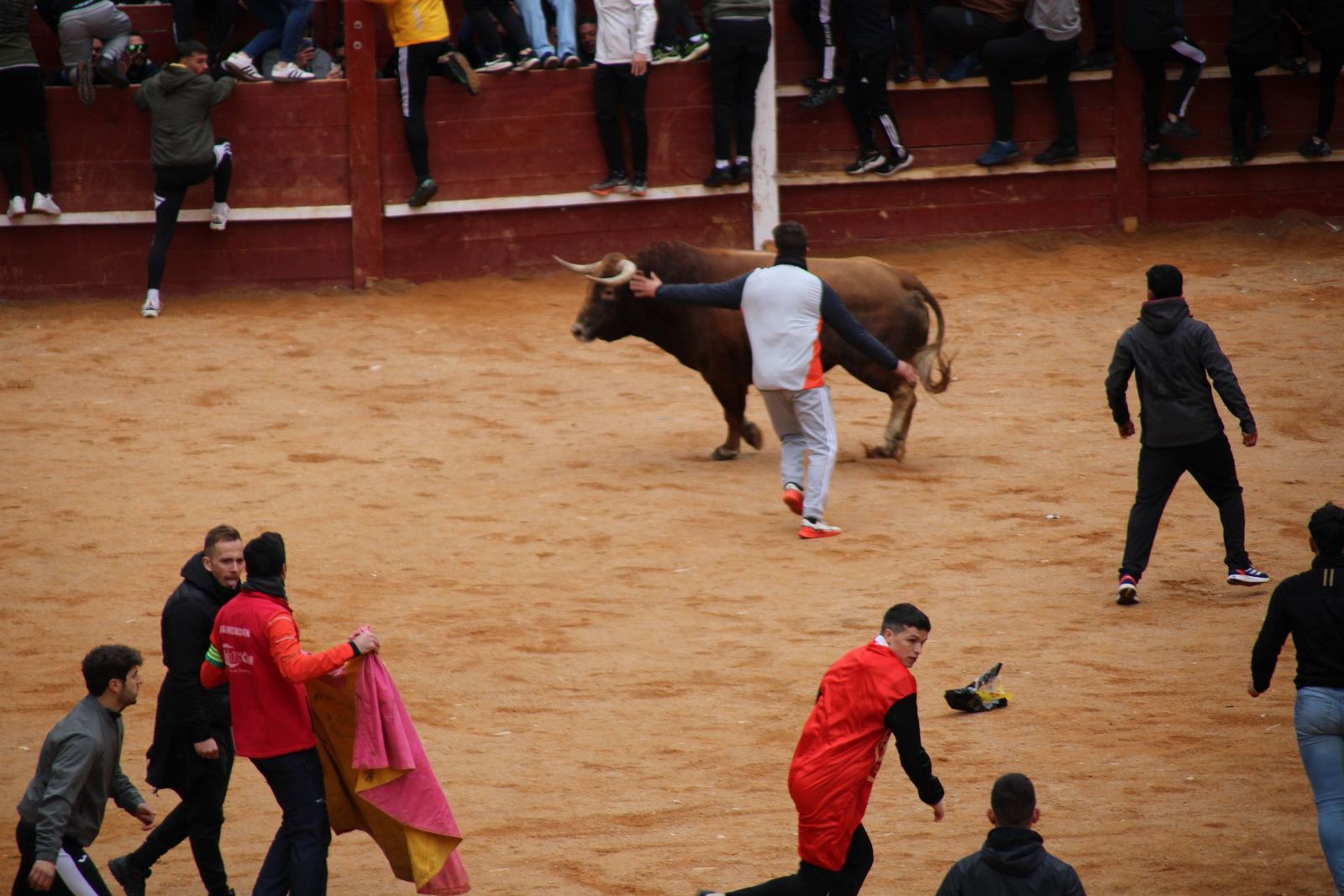 whatsapp-image-2025-03-01-at-13-18-33-1