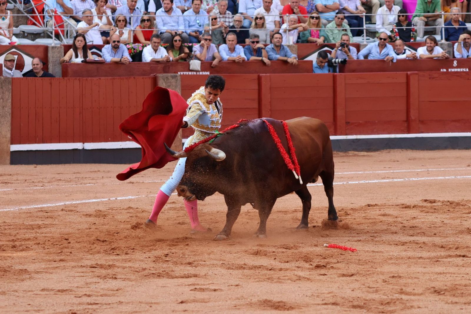 20230910174621-img-1909