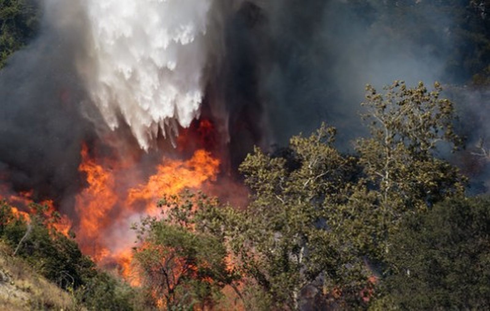 Imagen del incendio de Jarilla