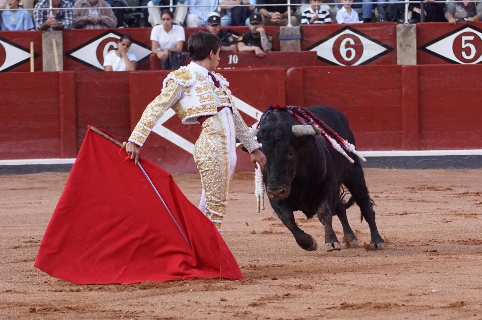 corrida-concurso-momentos-mas-destacados-del-ultimo-festejo-de-abono-de-la-feria-taurina-virgen-de-la-vega-2024-fotos-carlos-h-g-y-juanes-8