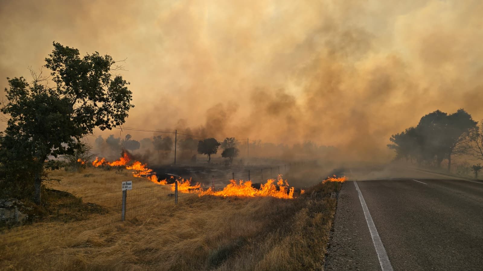 Incendio Cipérez. imagen Andrea Mateos (3).jpg